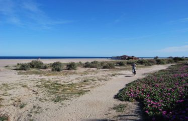 Vera Playa Costa Rey