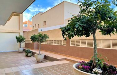 Piso Hibiscus 405