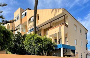 Piso Hibiscus 405